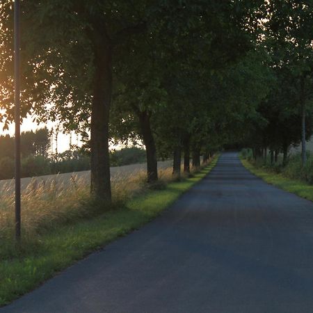 Fewo Harling - Waldsamkeit Bad Iburg Exterior foto