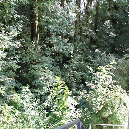 Fewo Harling - Waldsamkeit Bad Iburg Exterior foto