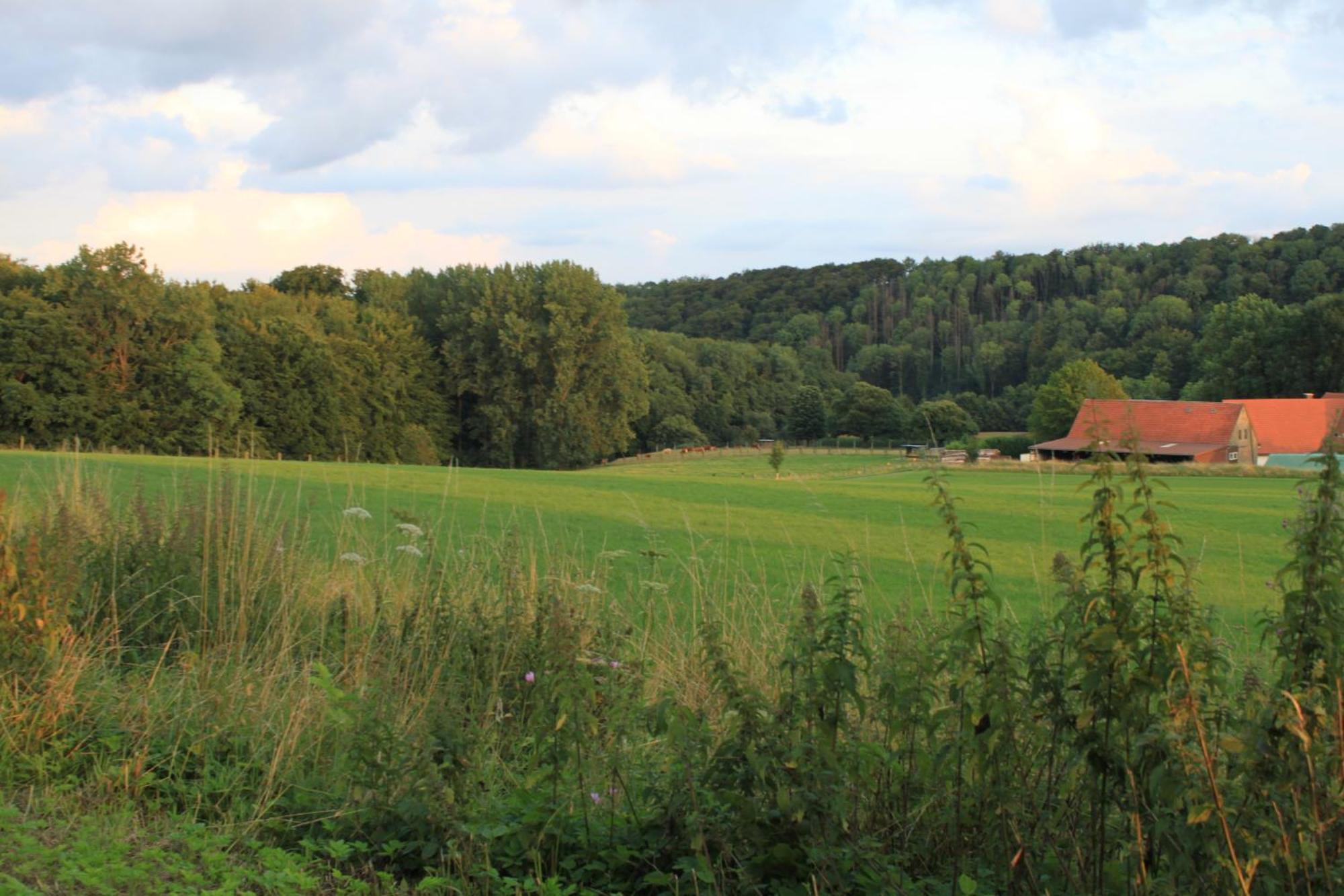 Fewo Harling - Waldsamkeit Bad Iburg Exterior foto