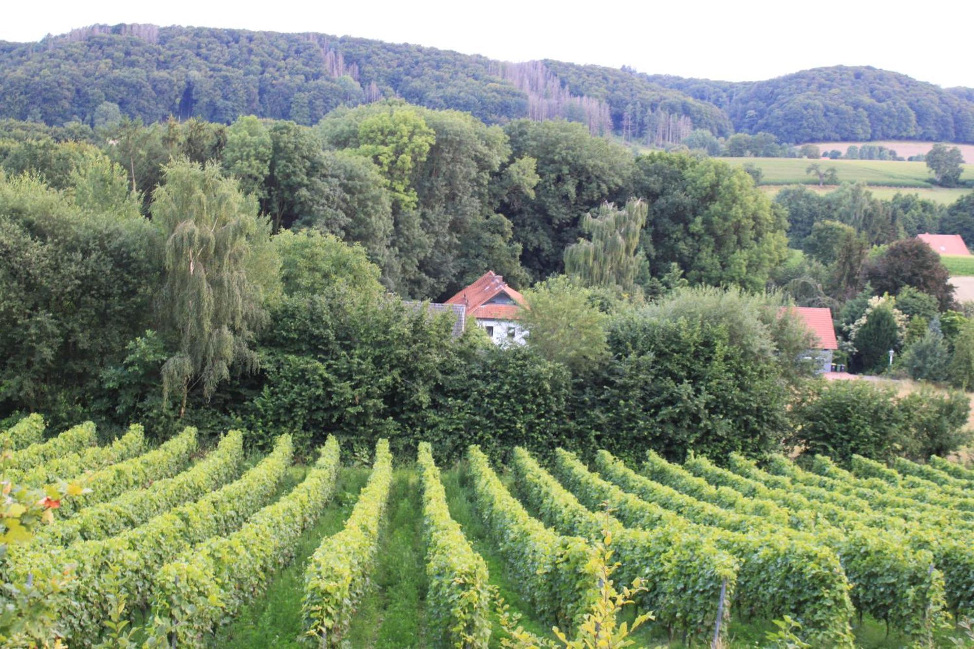 Fewo Harling - Waldsamkeit Bad Iburg Exterior foto