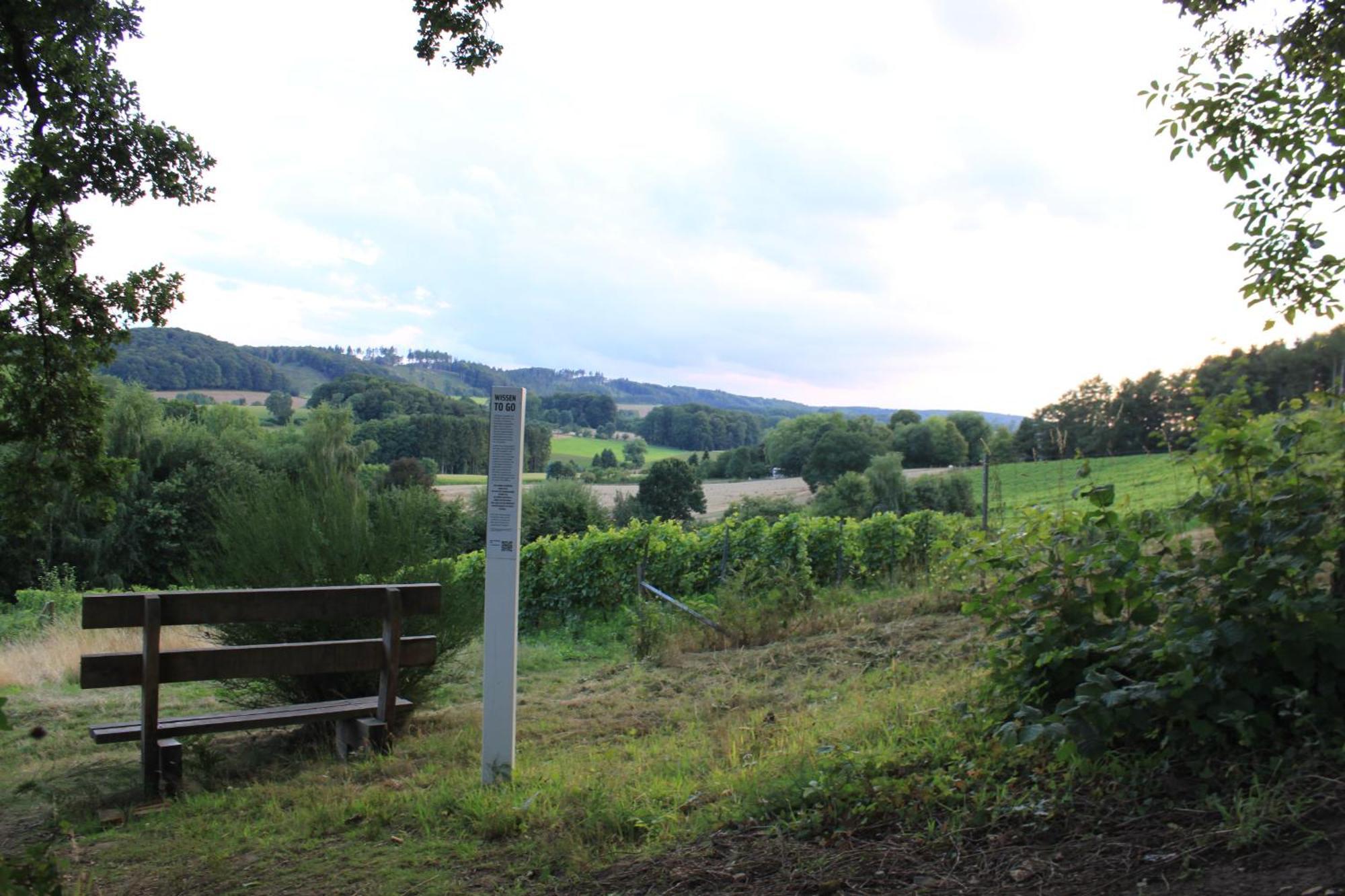 Fewo Harling - Waldsamkeit Bad Iburg Exterior foto